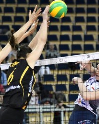  布雷斯特,防守密不透风,零封对手取首胜